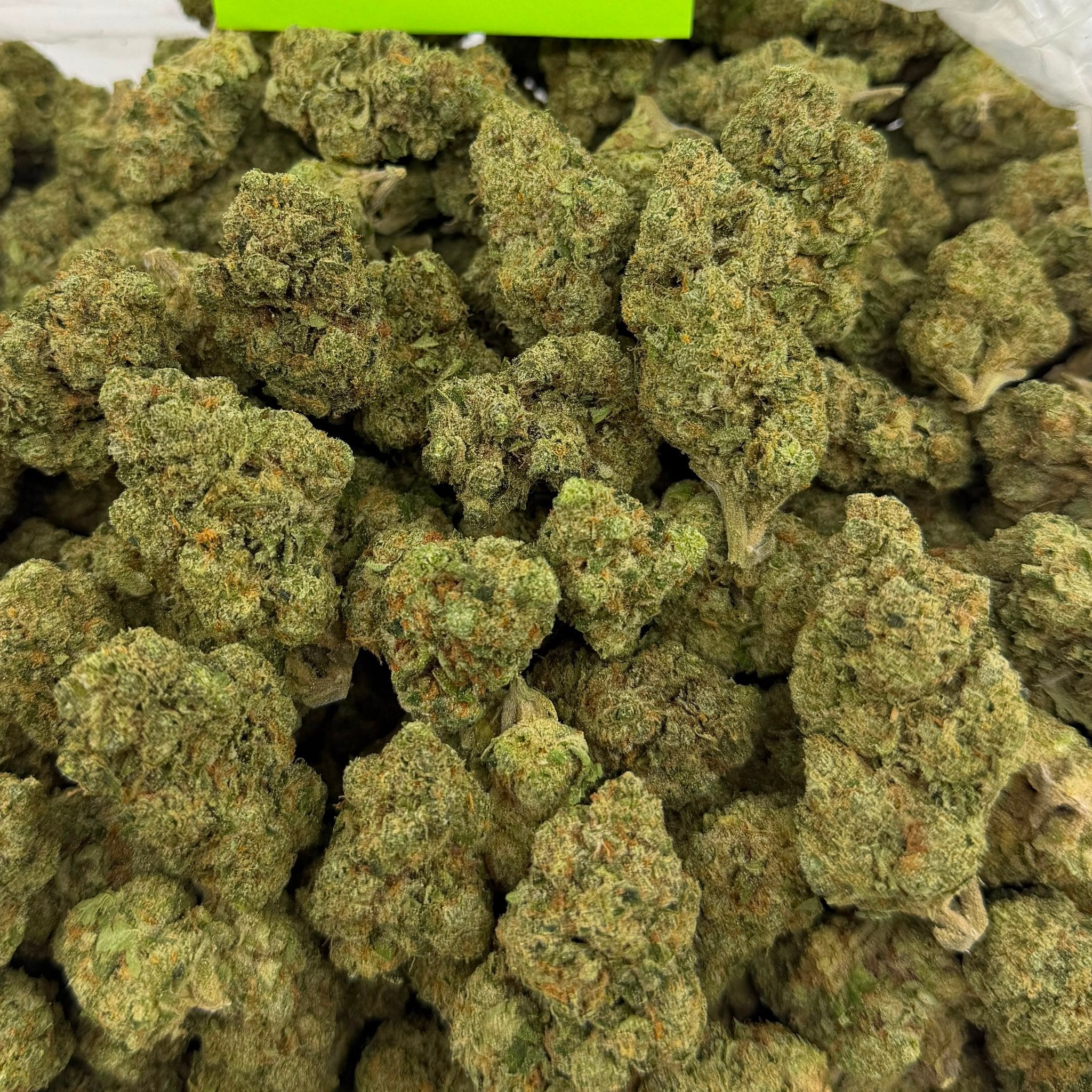 Pipe Dream bulk THCA flower — Plain Jane 1 lb