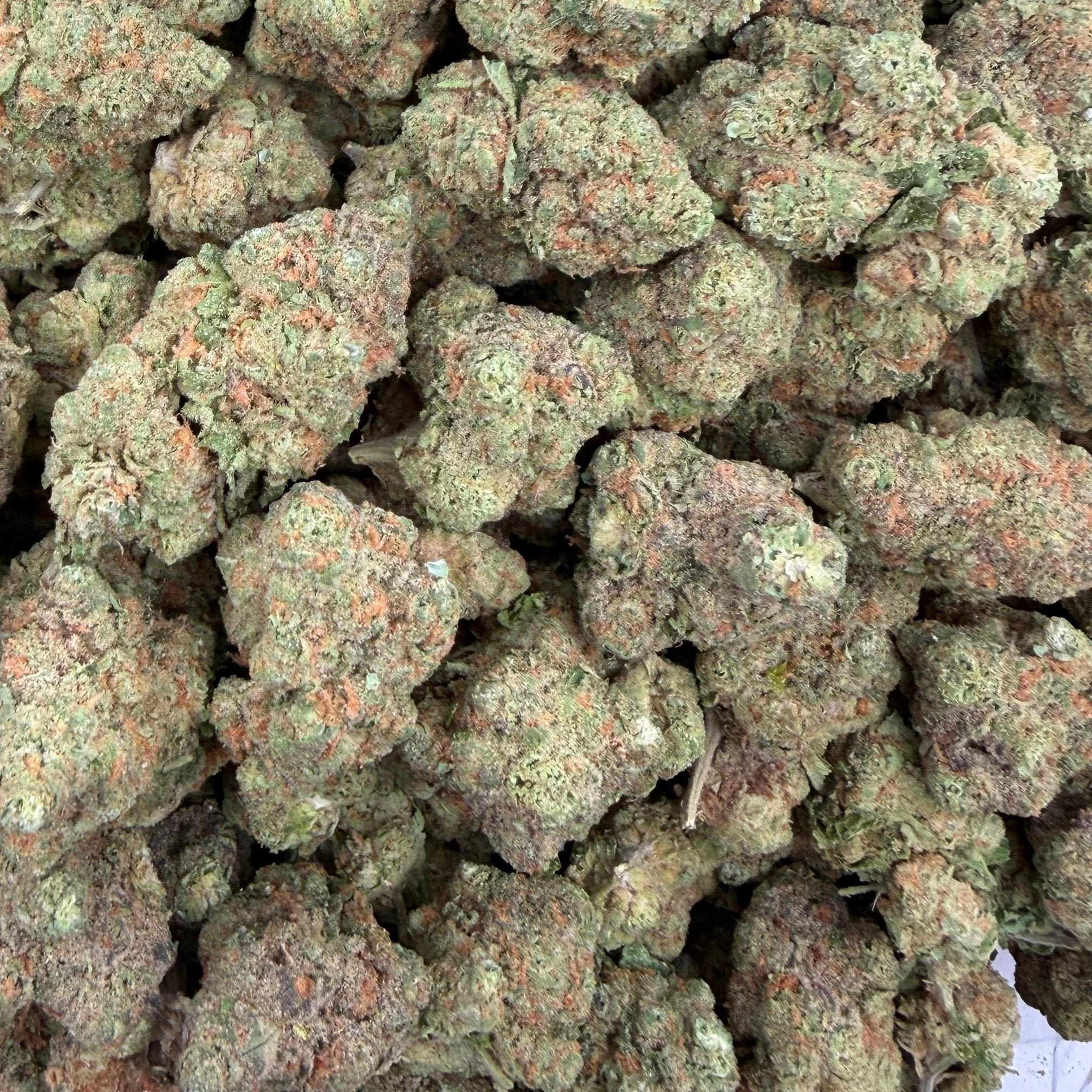Pipe Dream bulk THCA flower — Plain Jane 1 lb