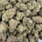 Pipe Dream bulk THCA flower — Plain Jane 1 lb