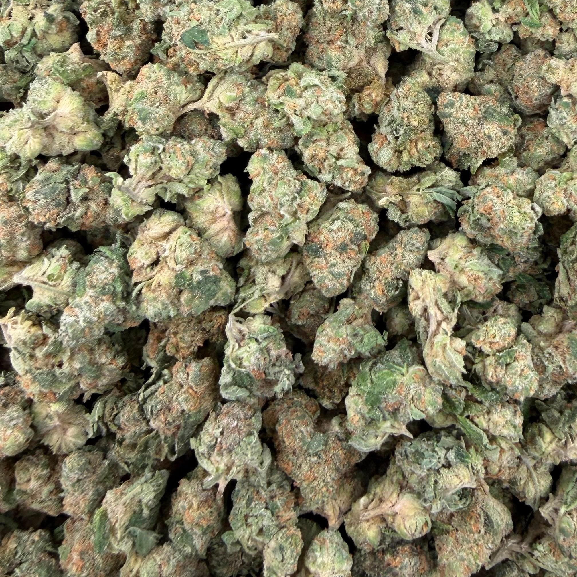 Pipe Dream bulk THCA flower — Plain Jane 1 lb
