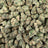 Pipe Dream bulk THCA flower — Plain Jane 1 lb