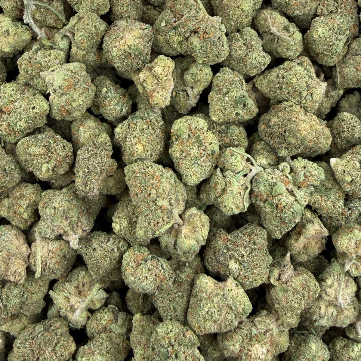 Pipe Dream bulk THCA flower — Plain Jane 1 lb