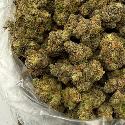Pistachio Cream bulk THCA flower — Plain Jane 1 lb