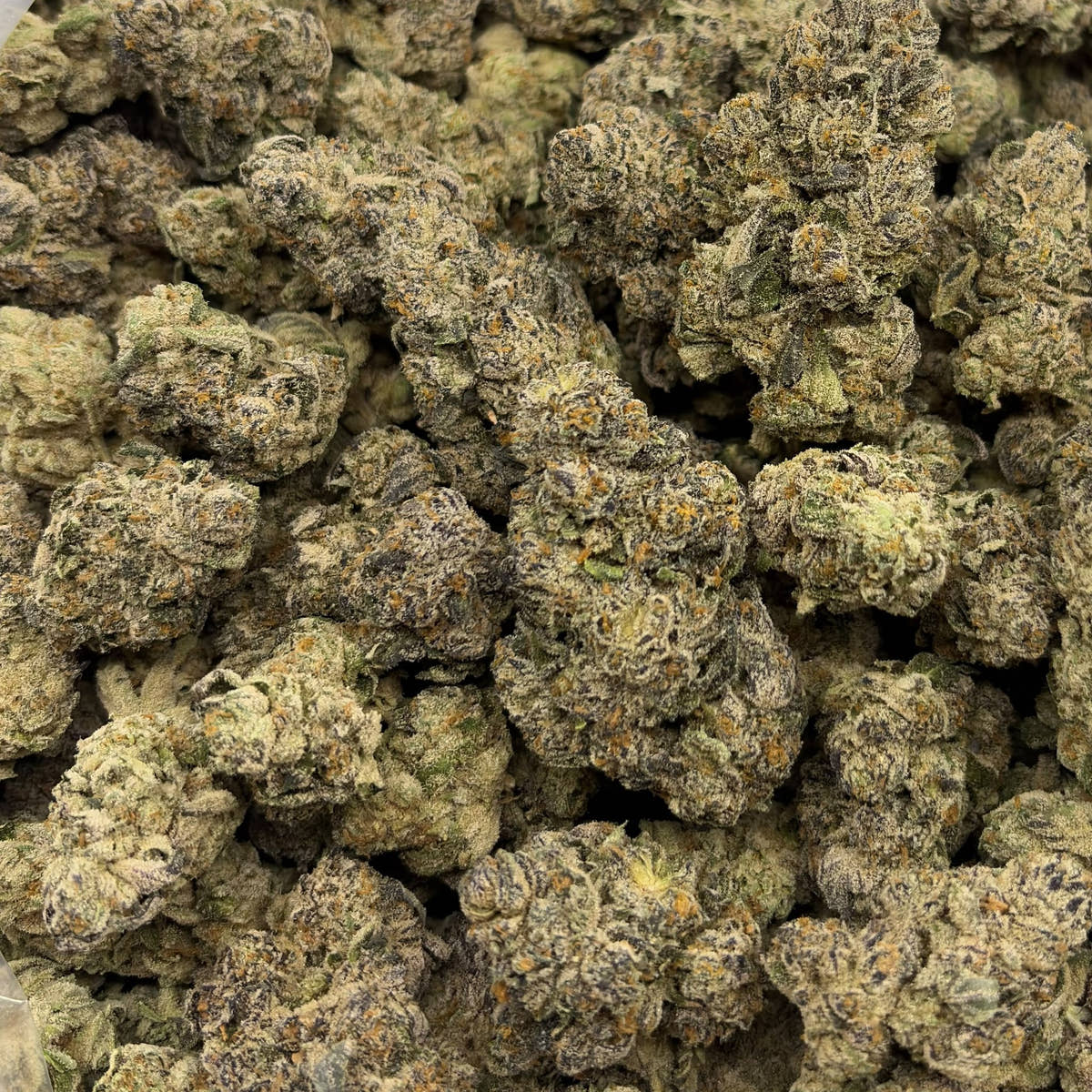 Pistachio Cream bulk THCA flower — Plain Jane 1 lb