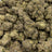 Pistachio Cream bulk THCA flower — Plain Jane 1 lb