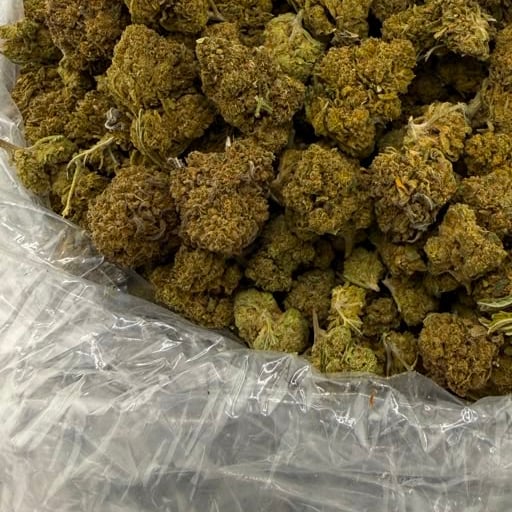Popscotti bulk THCA flower — Plain Jane 1 lb