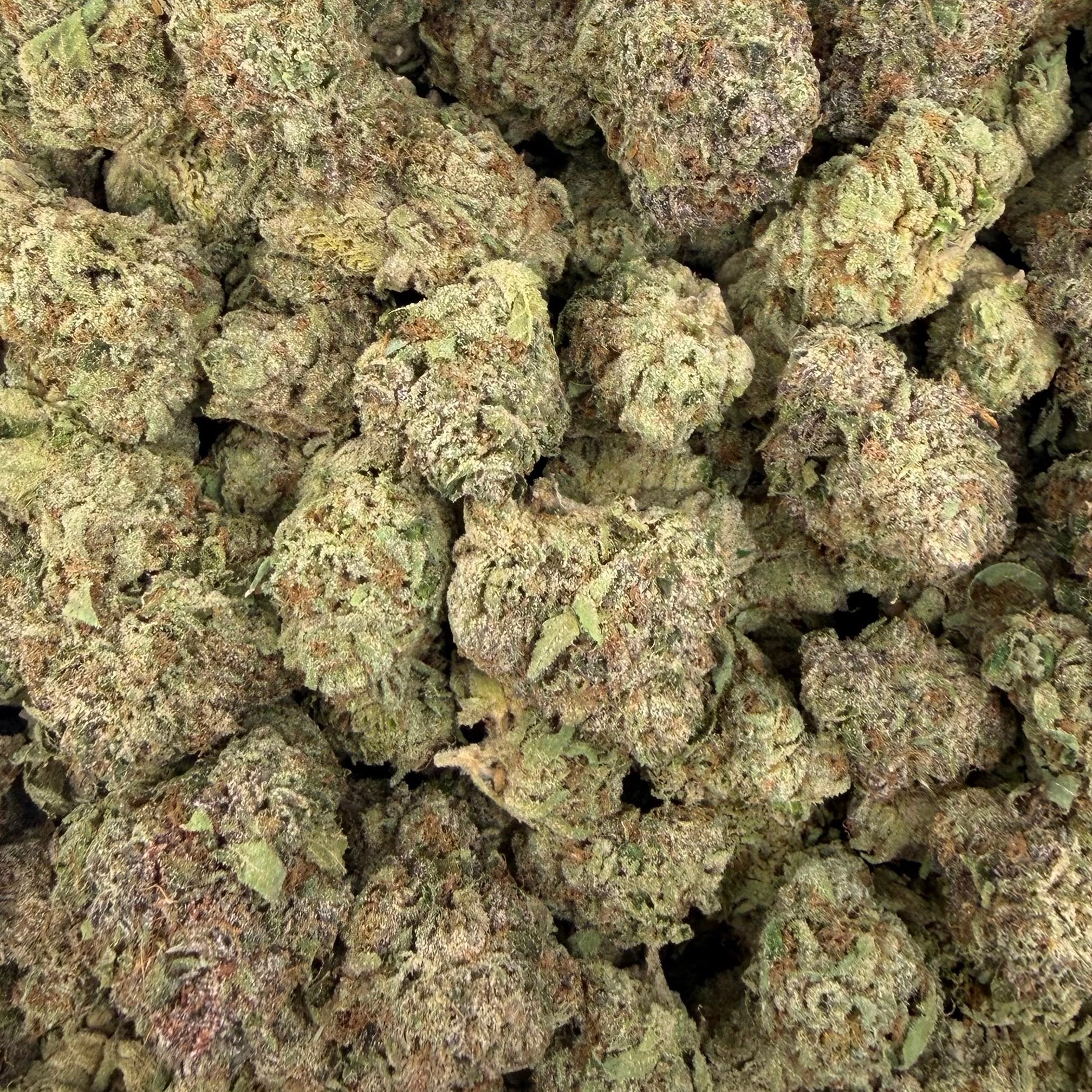Powdered Donuts bulk THCA flower — Plain Jane 1 lb