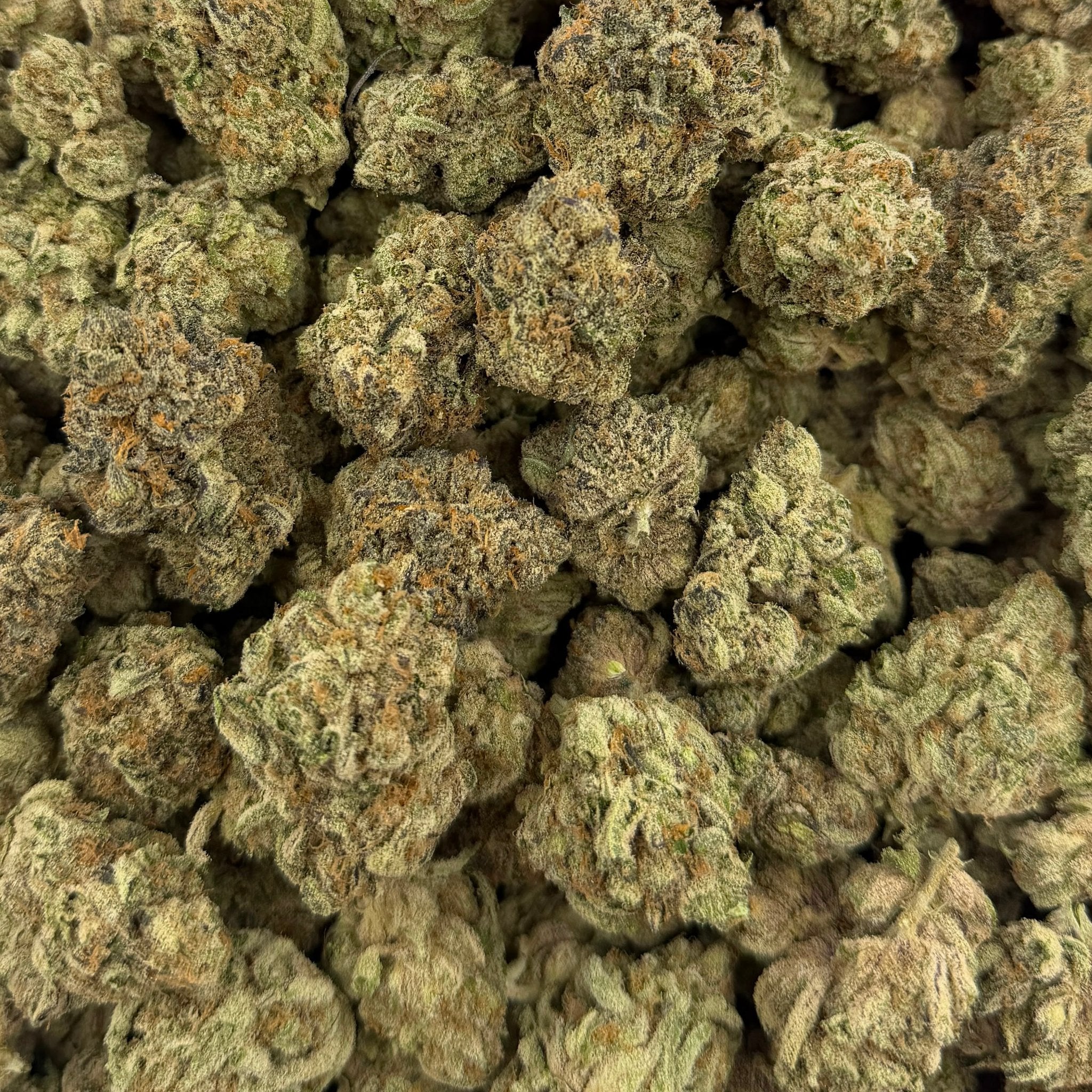Powdered Donuts bulk THCA flower — Plain Jane 1 lb