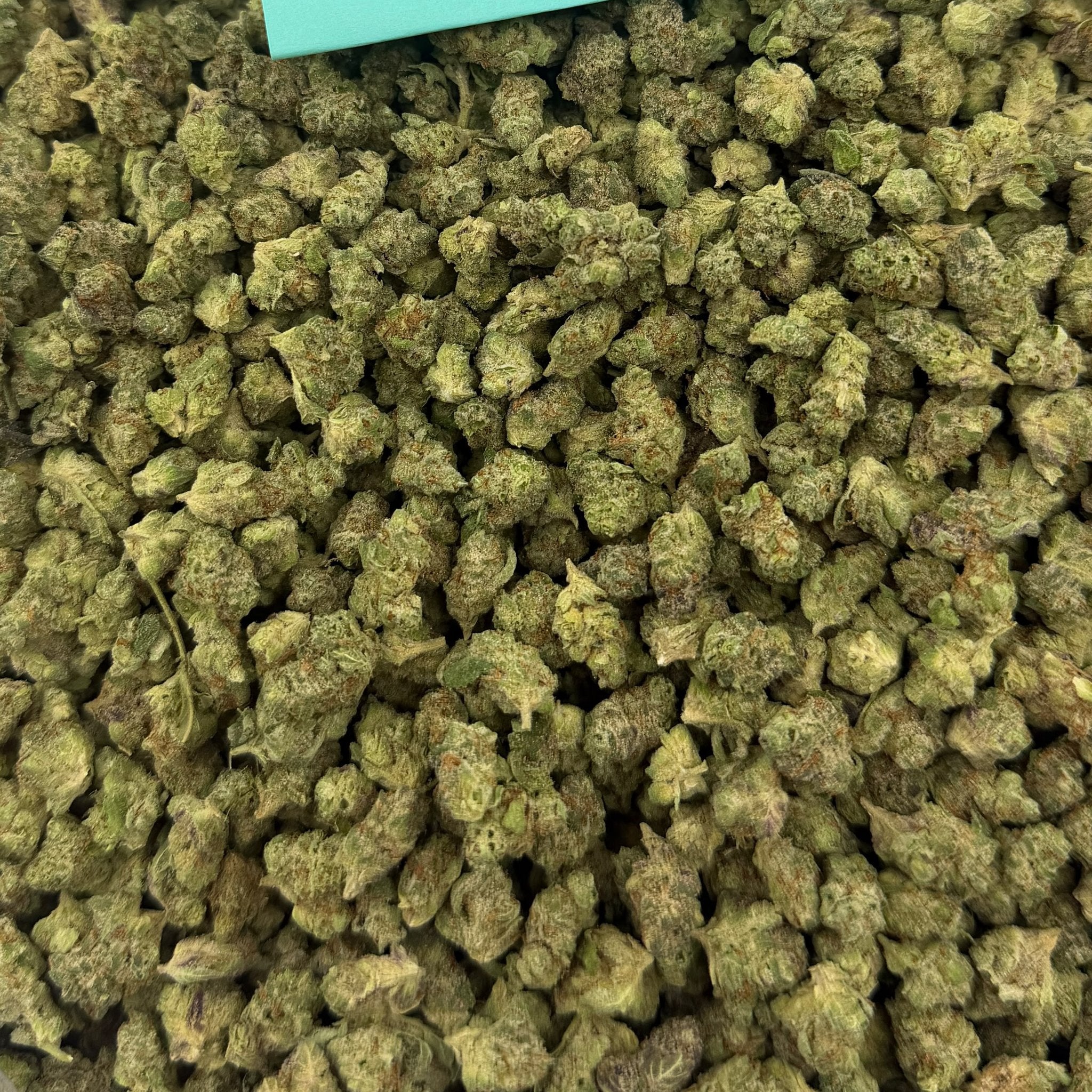 Powdered Donuts bulk THCA flower — Plain Jane 1 lb