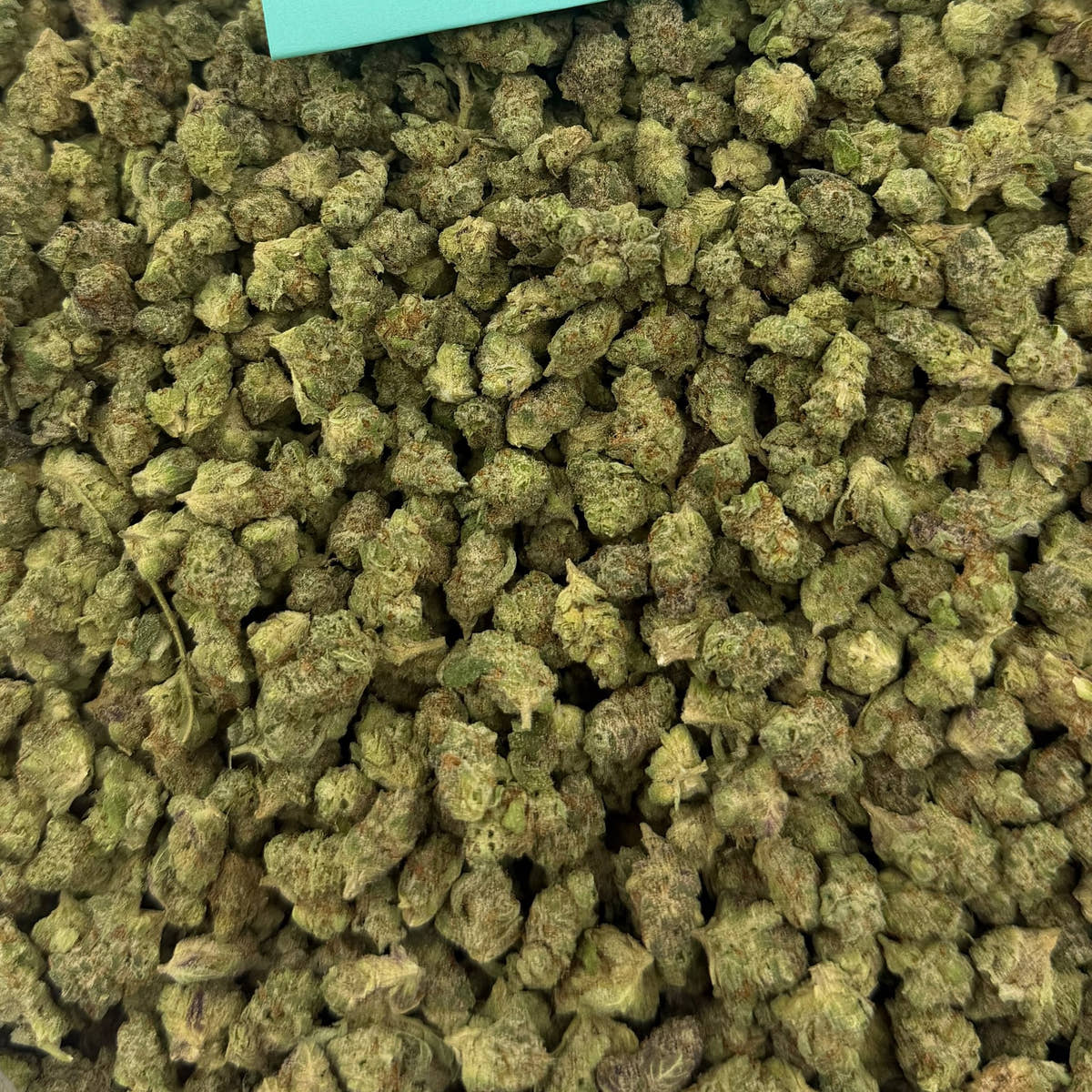 Powdered Donuts bulk THCA flower — Plain Jane 1 lb