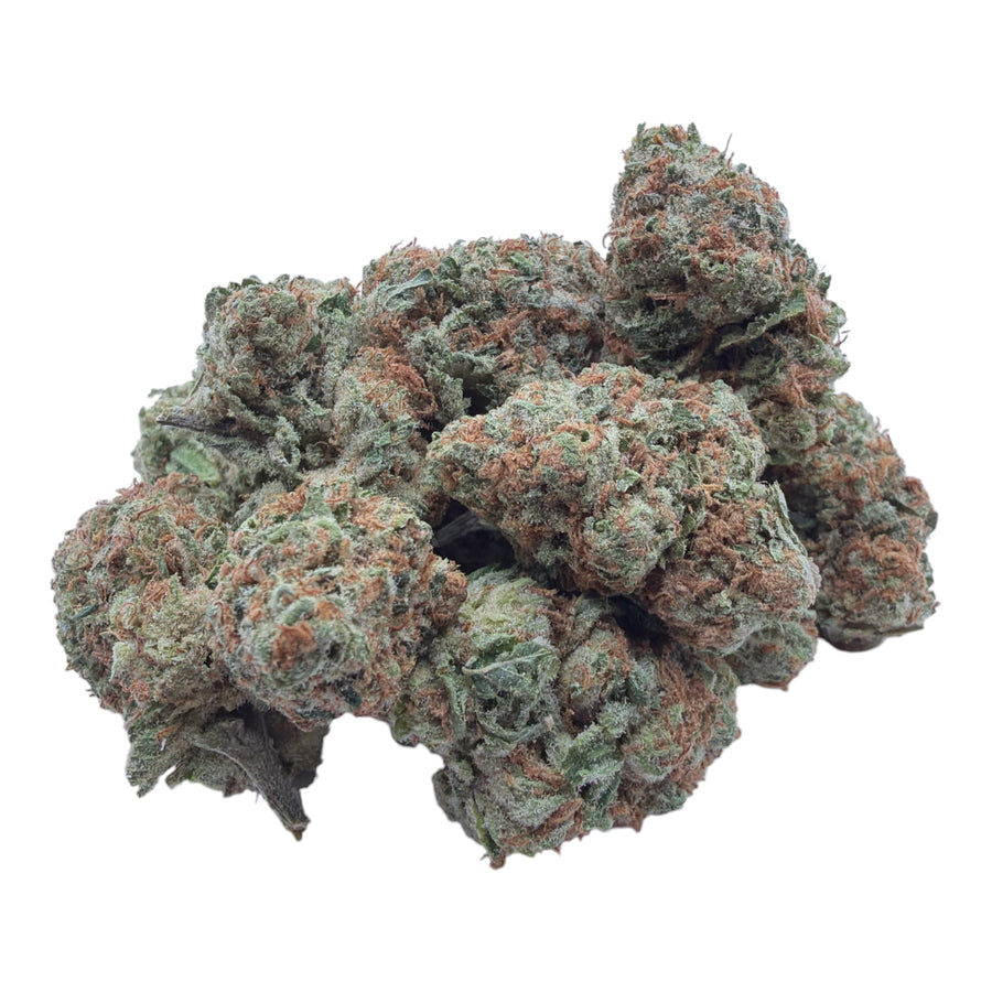 Powdered Donuts (Indoor Smalls)