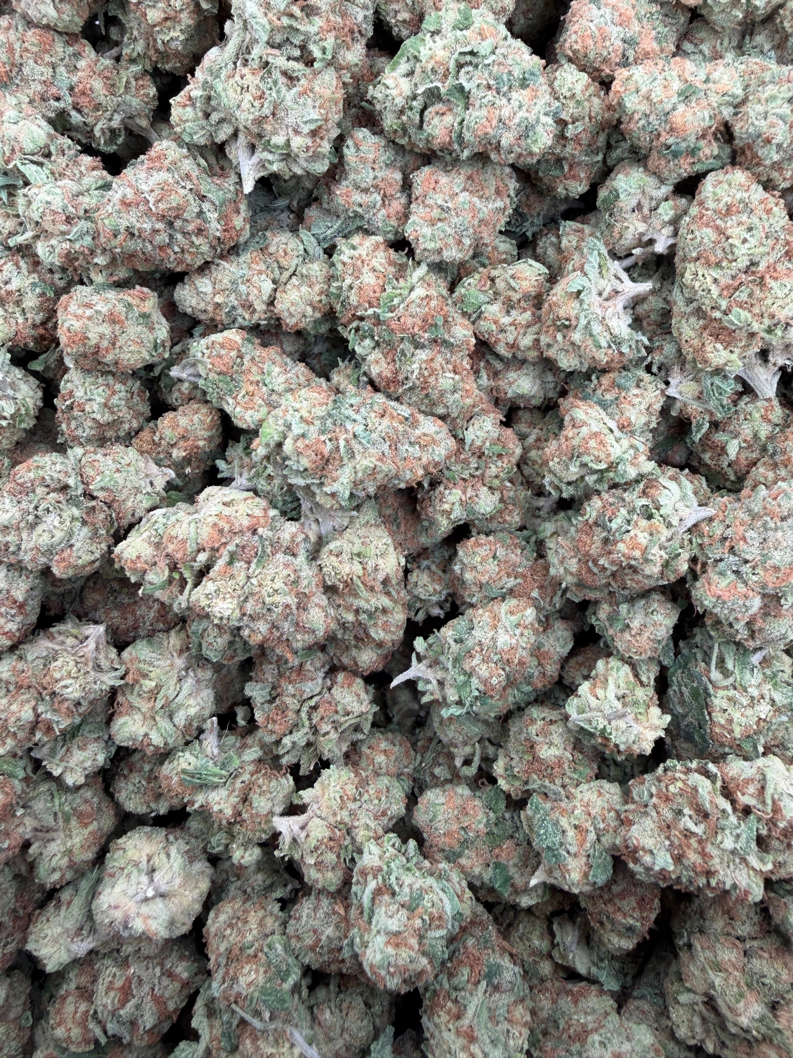 Powdered Donuts Smalls THCA flower - exact current-lot full-frame photo
