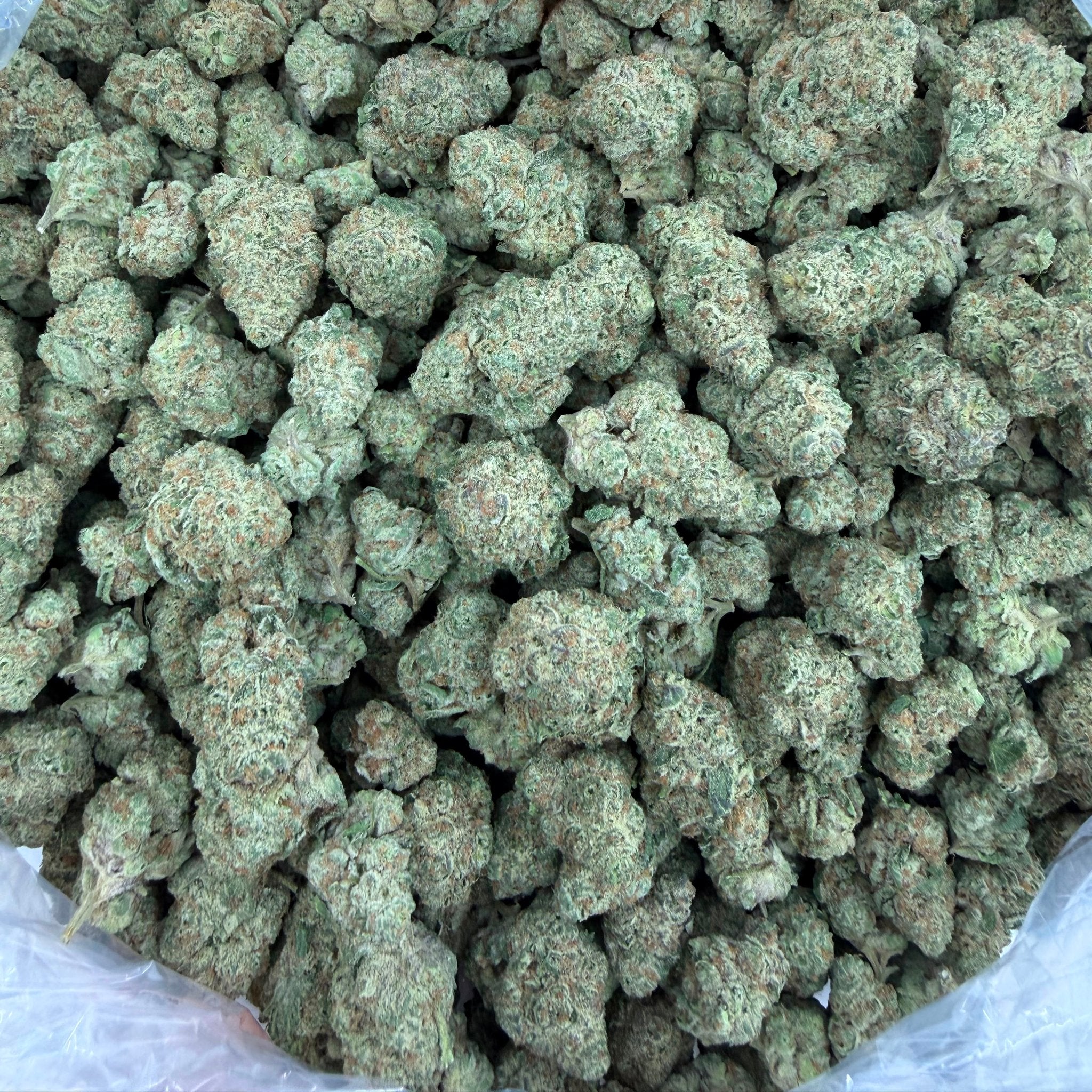 Pressure bulk THCA flower — Plain Jane 1 lb