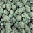 Pressure bulk THCA flower — Plain Jane 1 lb