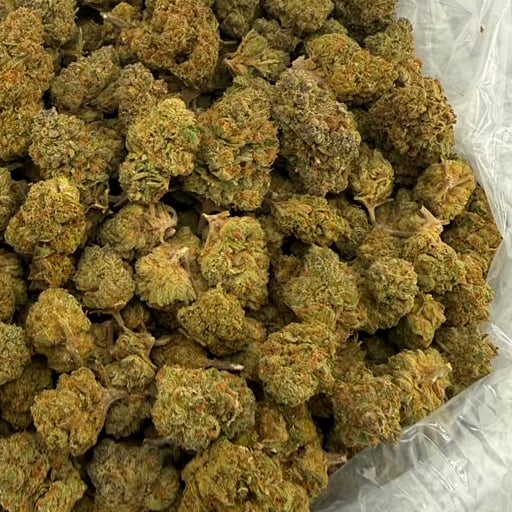 Psychic Eye bulk THCA flower — Plain Jane 1 lb