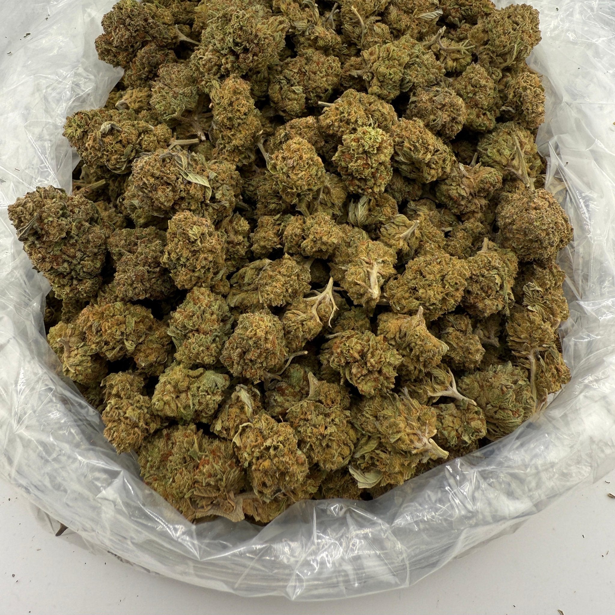 Punch Breath bulk THCA flower — Plain Jane 1 lb