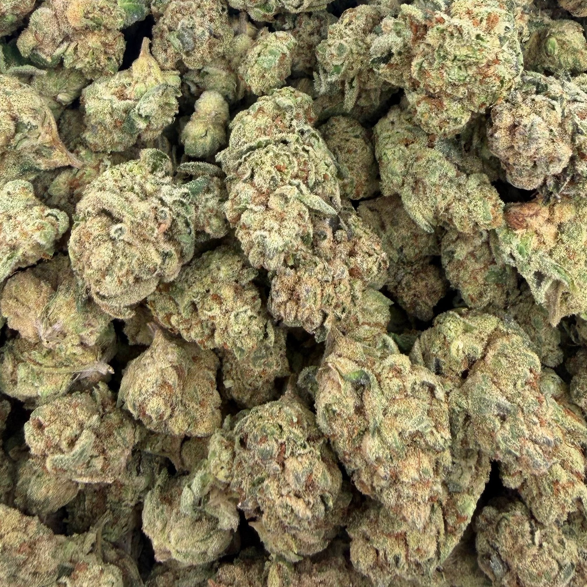 Pure Michigan bulk THCA flower — Plain Jane 1 lb