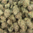 Pure Michigan bulk THCA flower — Plain Jane 1 lb
