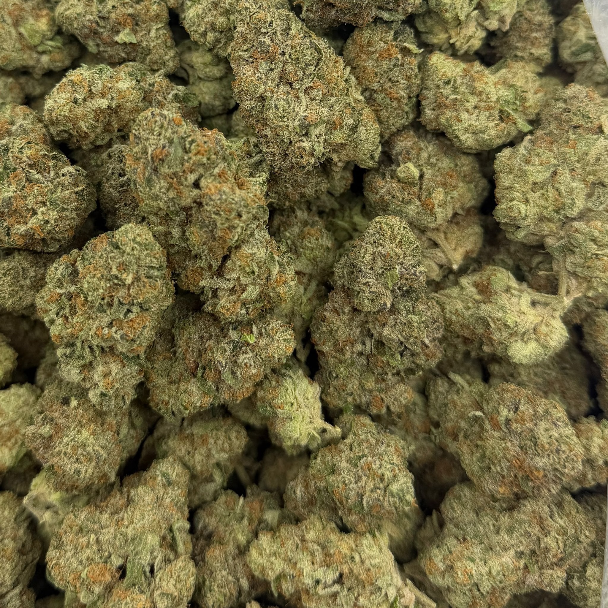 Pure Michigan bulk THCA flower — Plain Jane 1 lb