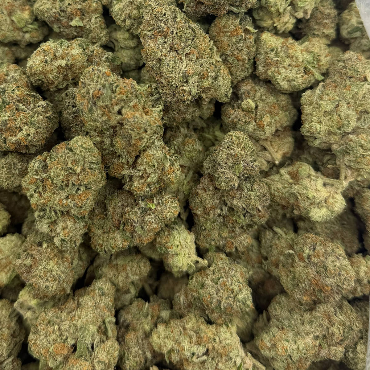 Pure Michigan bulk THCA flower — Plain Jane 1 lb