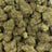 Pure Michigan bulk THCA flower — Plain Jane 1 lb