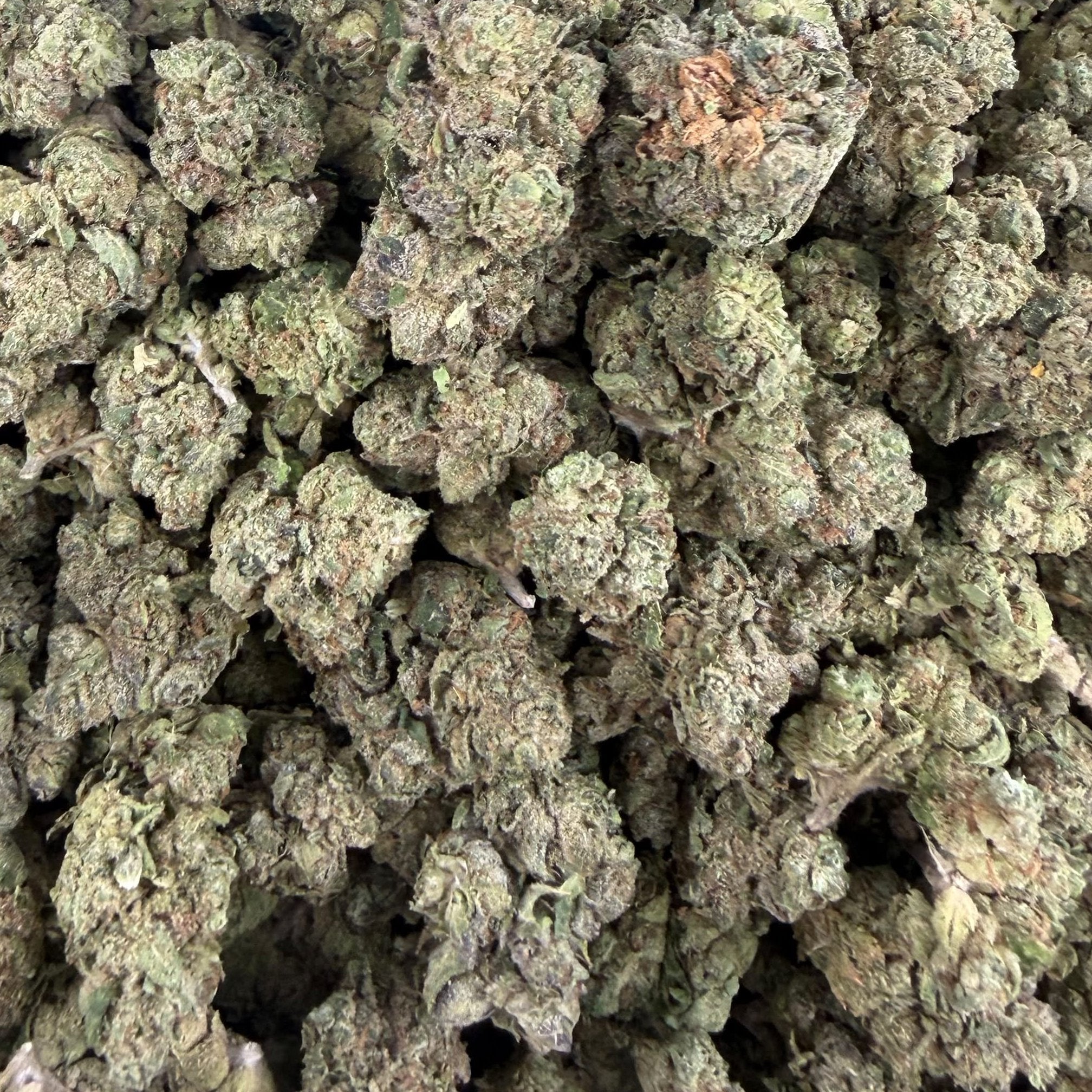 Pure Michigan bulk THCA flower — Plain Jane 1 lb