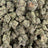 Pure Michigan bulk THCA flower — Plain Jane 1 lb