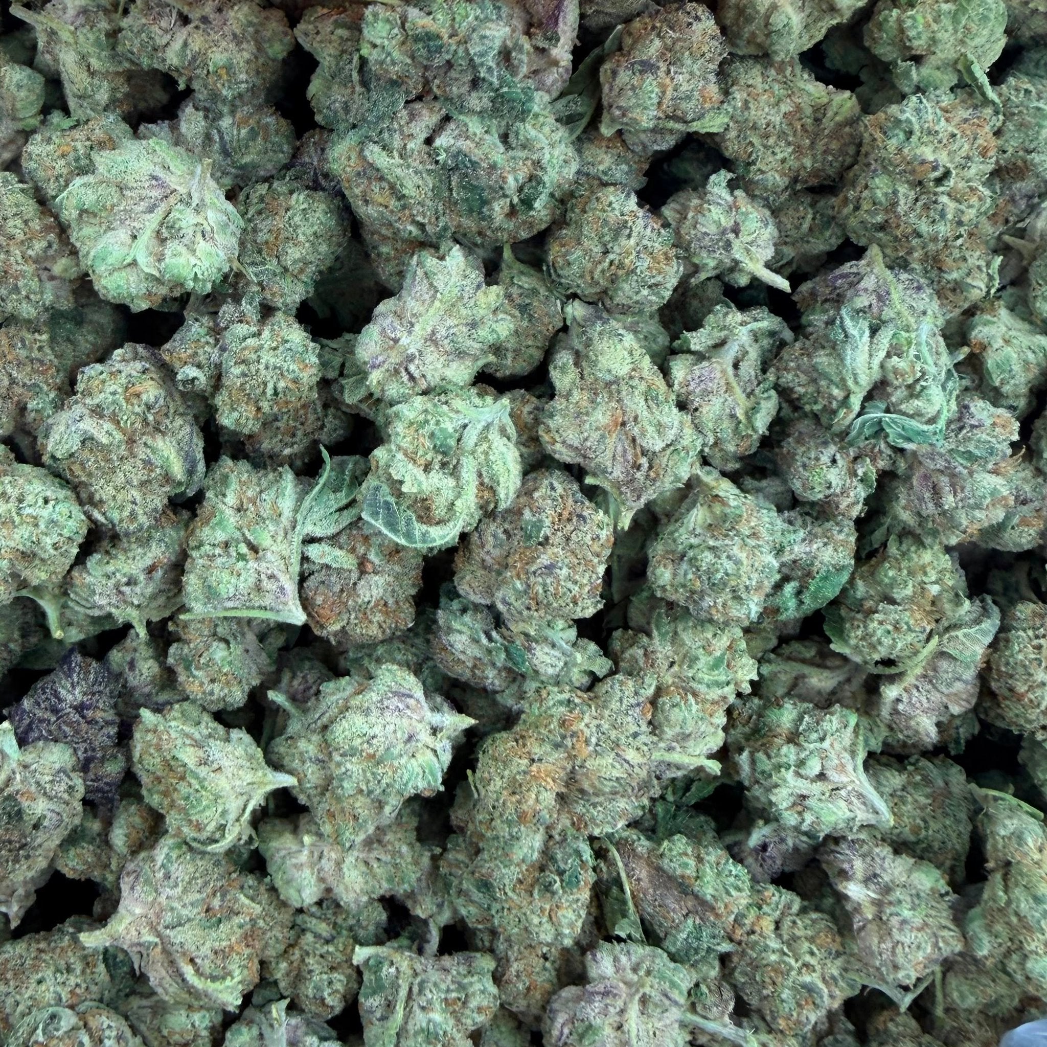 Purple Carbonite bulk THCA flower — Plain Jane 1 lb