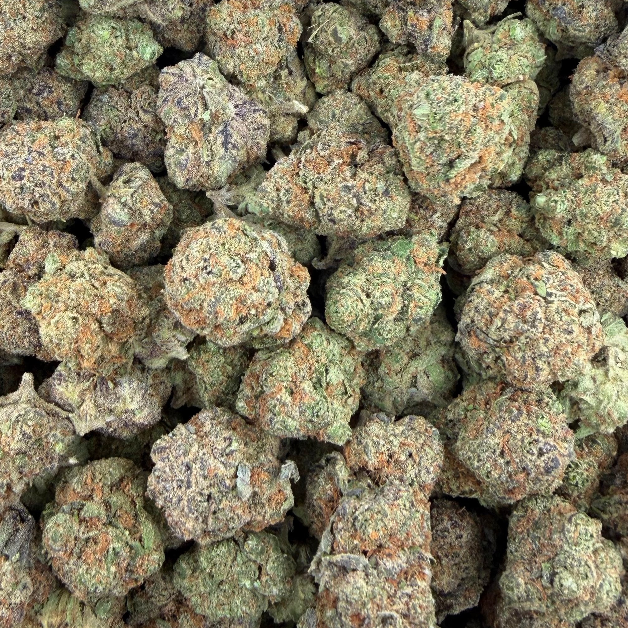 Purple Carbonite bulk THCA flower — Plain Jane 1 lb