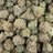 Purple Carbonite bulk THCA flower — Plain Jane 1 lb