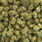 Purple Cream Pie bulk THCA flower — Plain Jane 1 lb