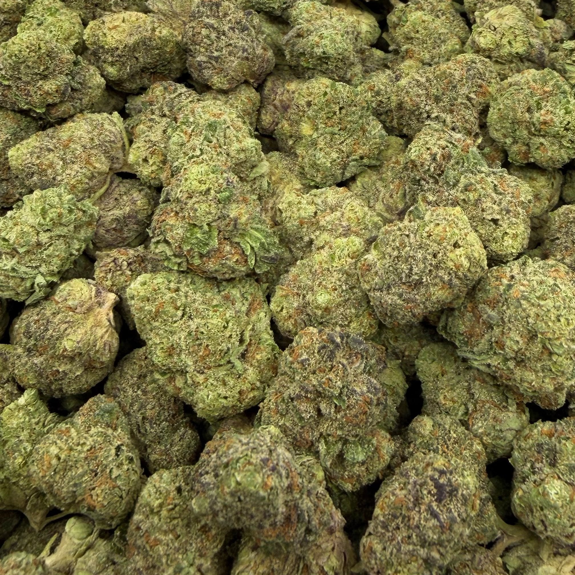 Purple Ice Popz bulk THCA flower — Plain Jane 1 lb