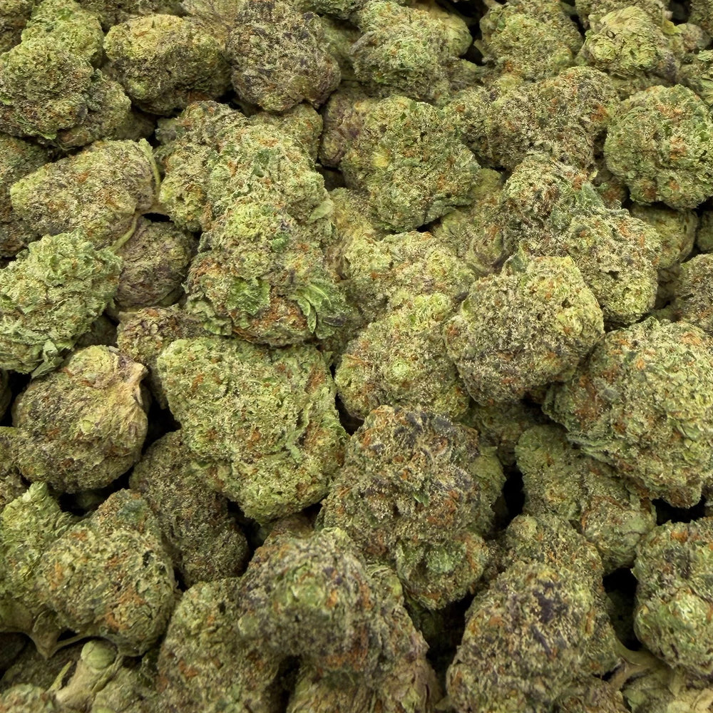 Purple Ice Popz