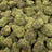 Purple Ice Popz bulk THCA flower — Plain Jane 1 lb