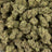 Purple Ice Popz bulk THCA flower — Plain Jane 1 lb