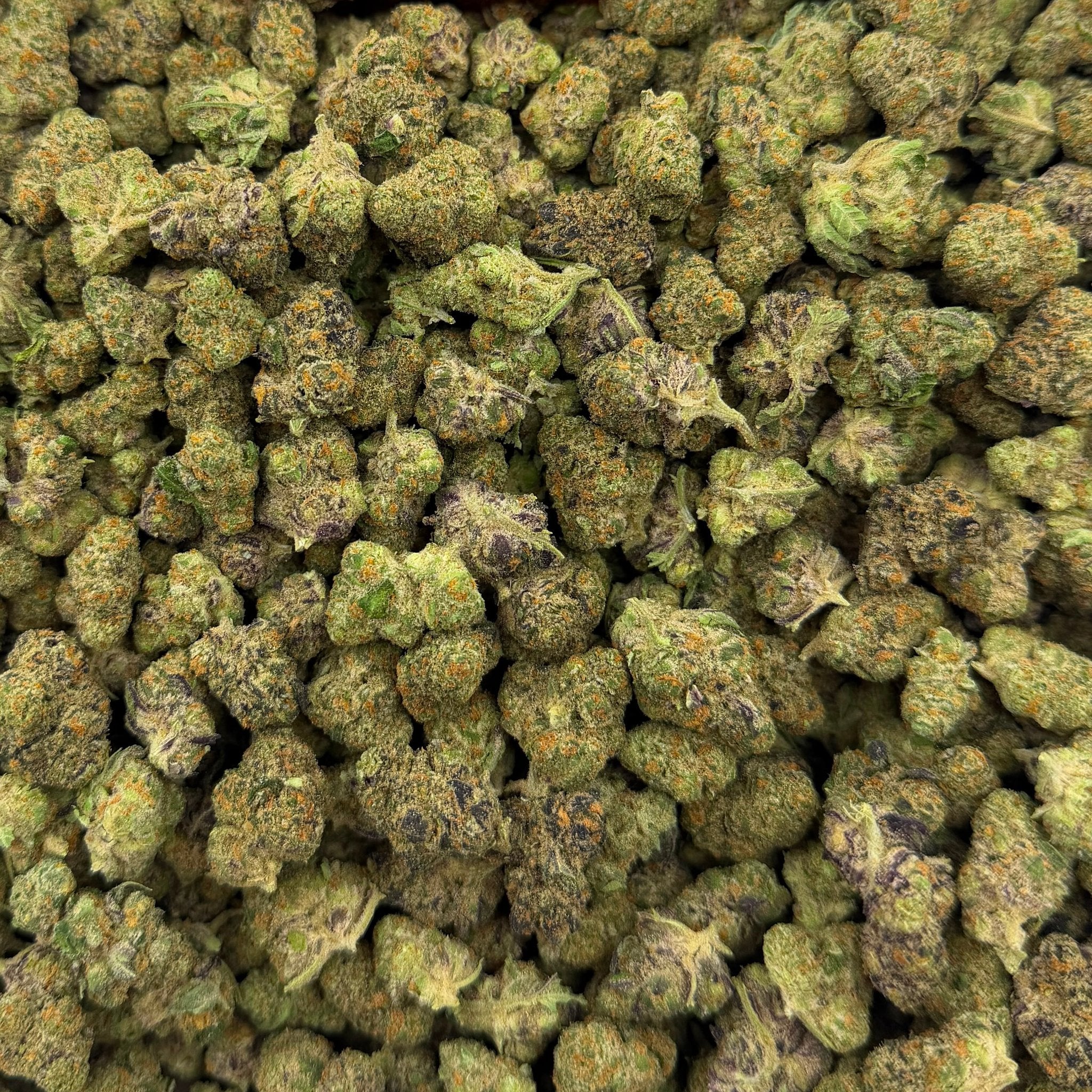 Purple Milk bulk THCA flower — Plain Jane 1 lb