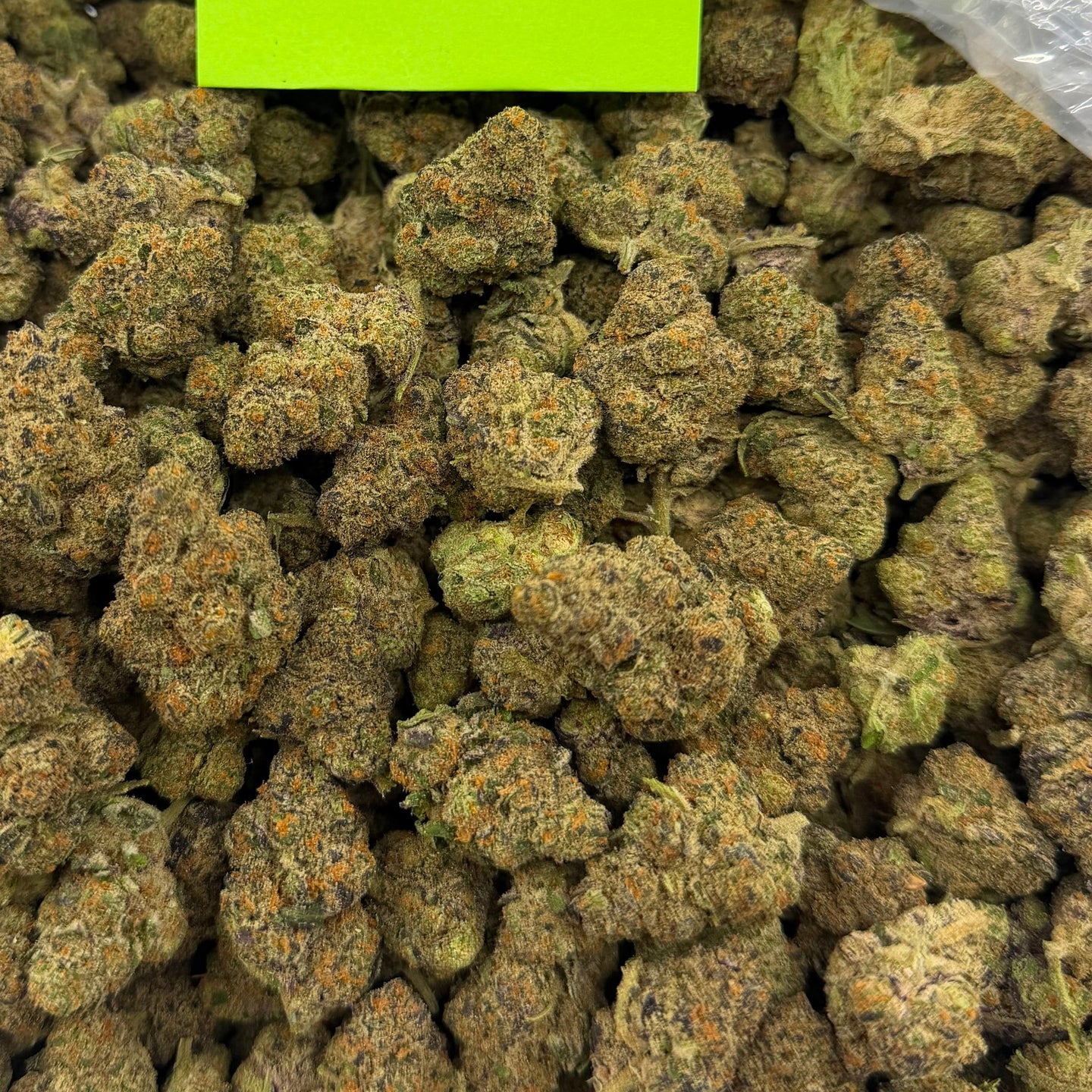 Purple Milk bulk THCA flower — Plain Jane 1 lb