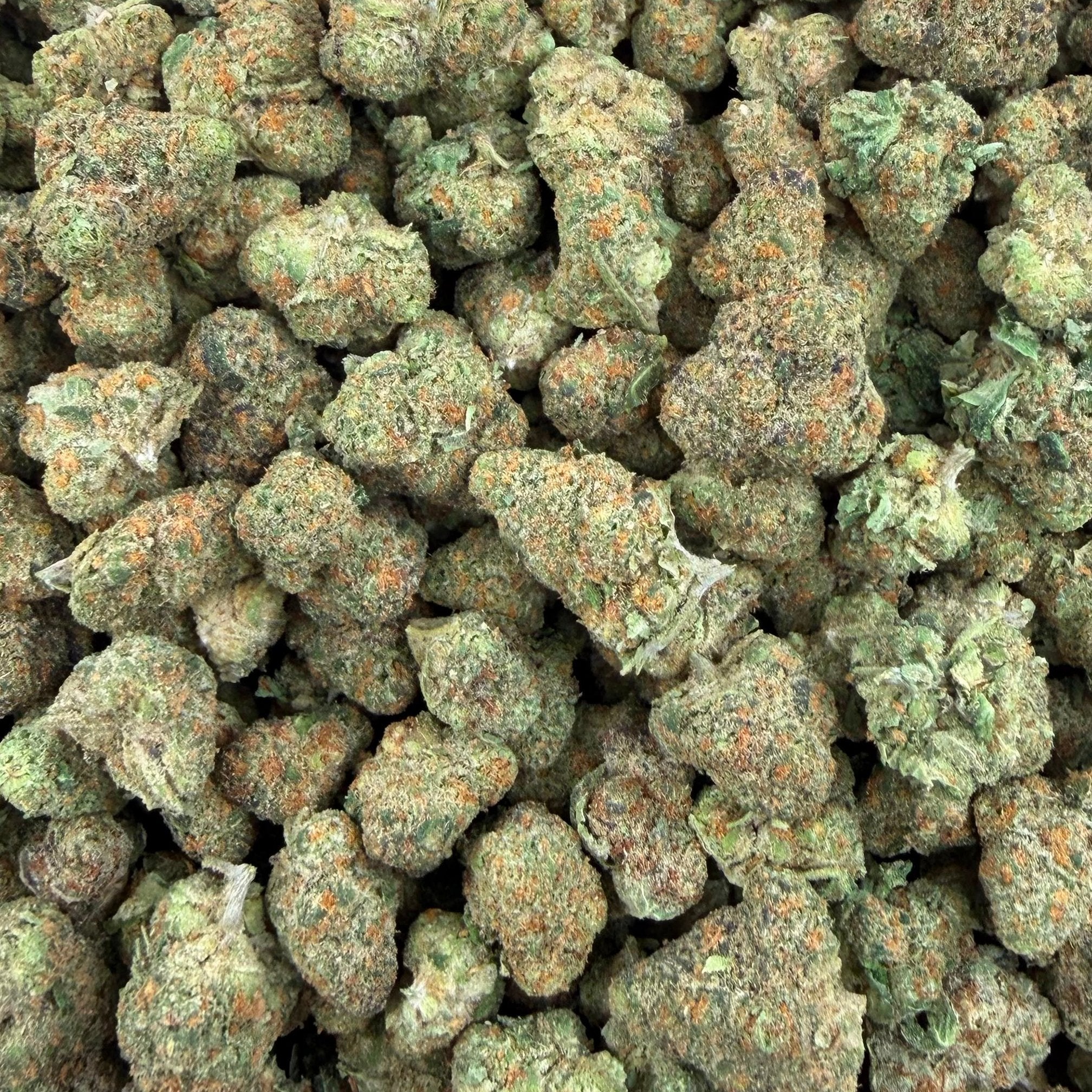 Purple Milk bulk THCA flower — Plain Jane 1 lb