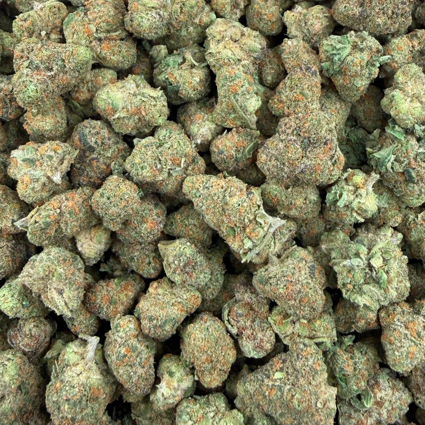 Purple Milk bulk THCA flower — Plain Jane 1 lb