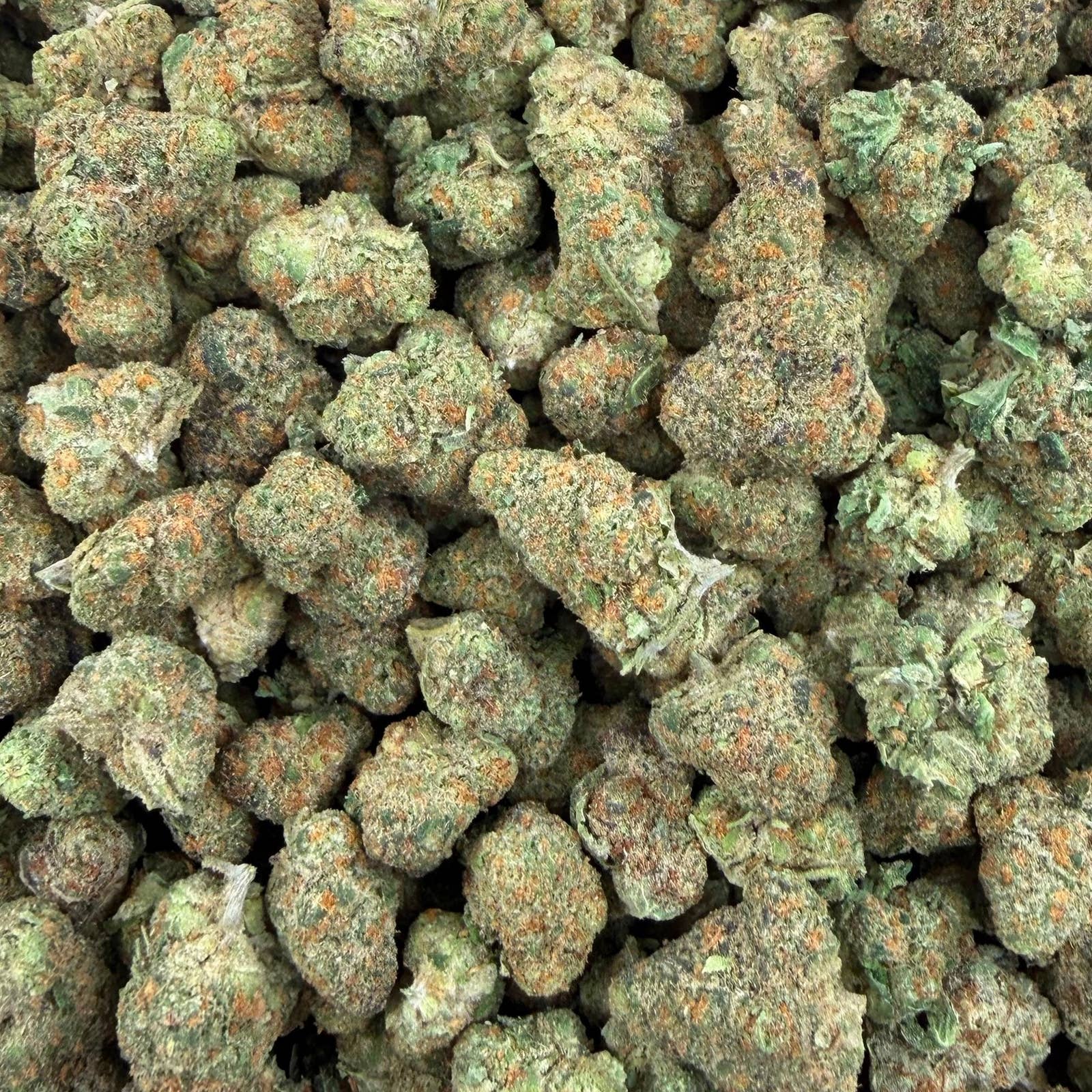 Purple Milk bulk THCA flower — Plain Jane 1 lb