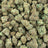 Purple Milk bulk THCA flower — Plain Jane 1 lb