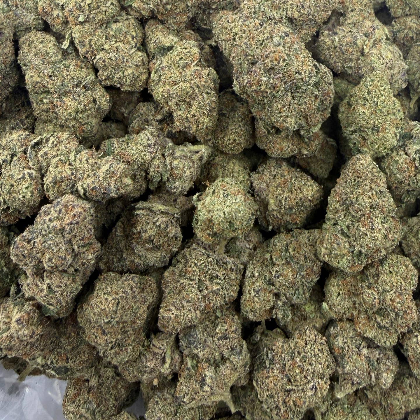 Purple Milk bulk THCA flower — Plain Jane 1 lb
