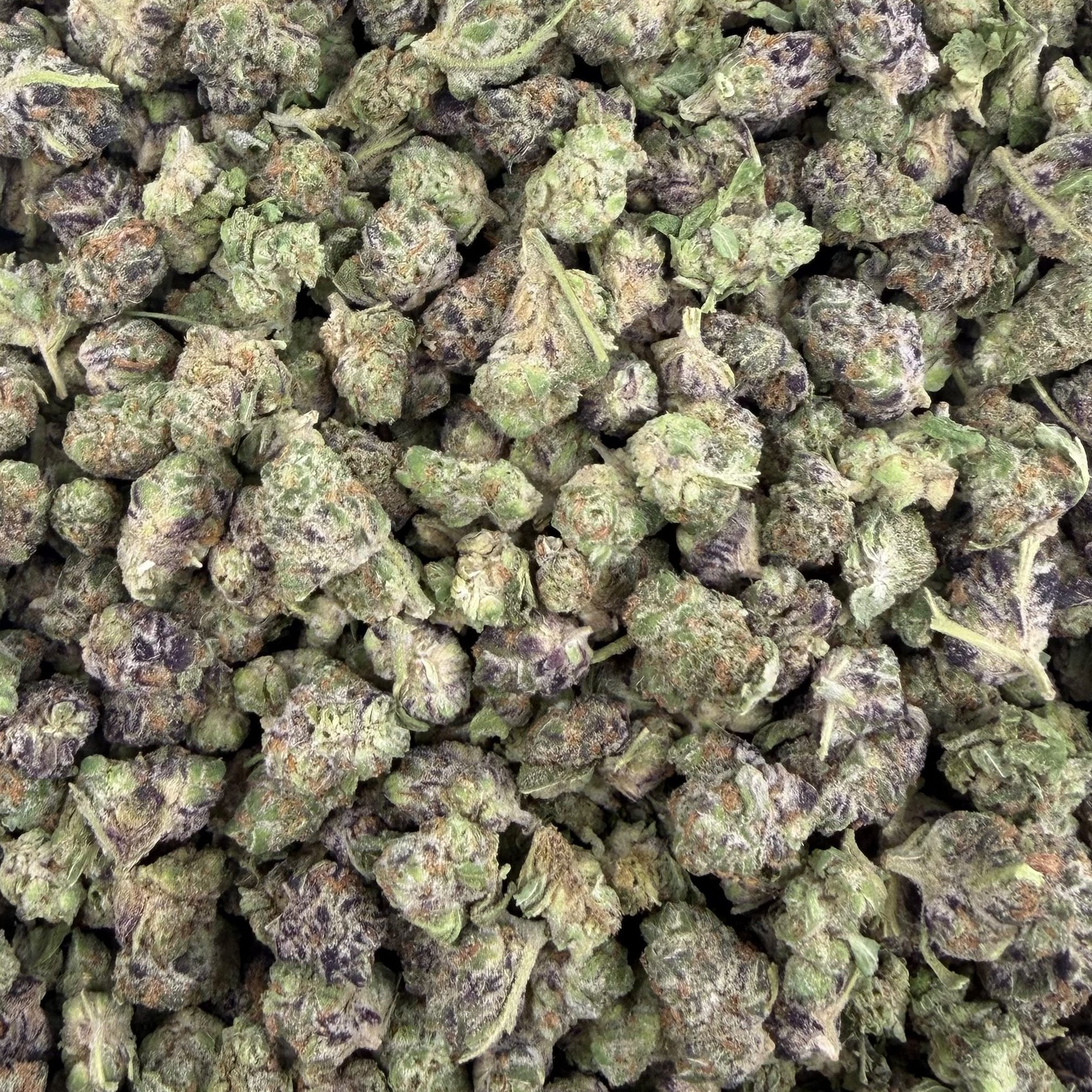 Purple Milk bulk THCA flower — Plain Jane 1 lb