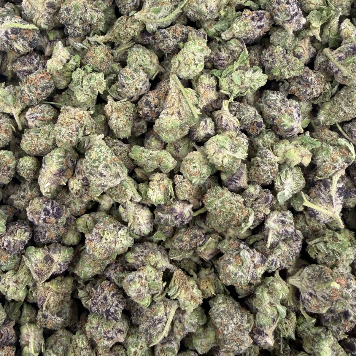 Purple Milk bulk THCA flower — Plain Jane 1 lb
