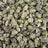 Purple Milk bulk THCA flower — Plain Jane 1 lb