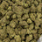 Purple Milk bulk THCA flower — Plain Jane 1 lb