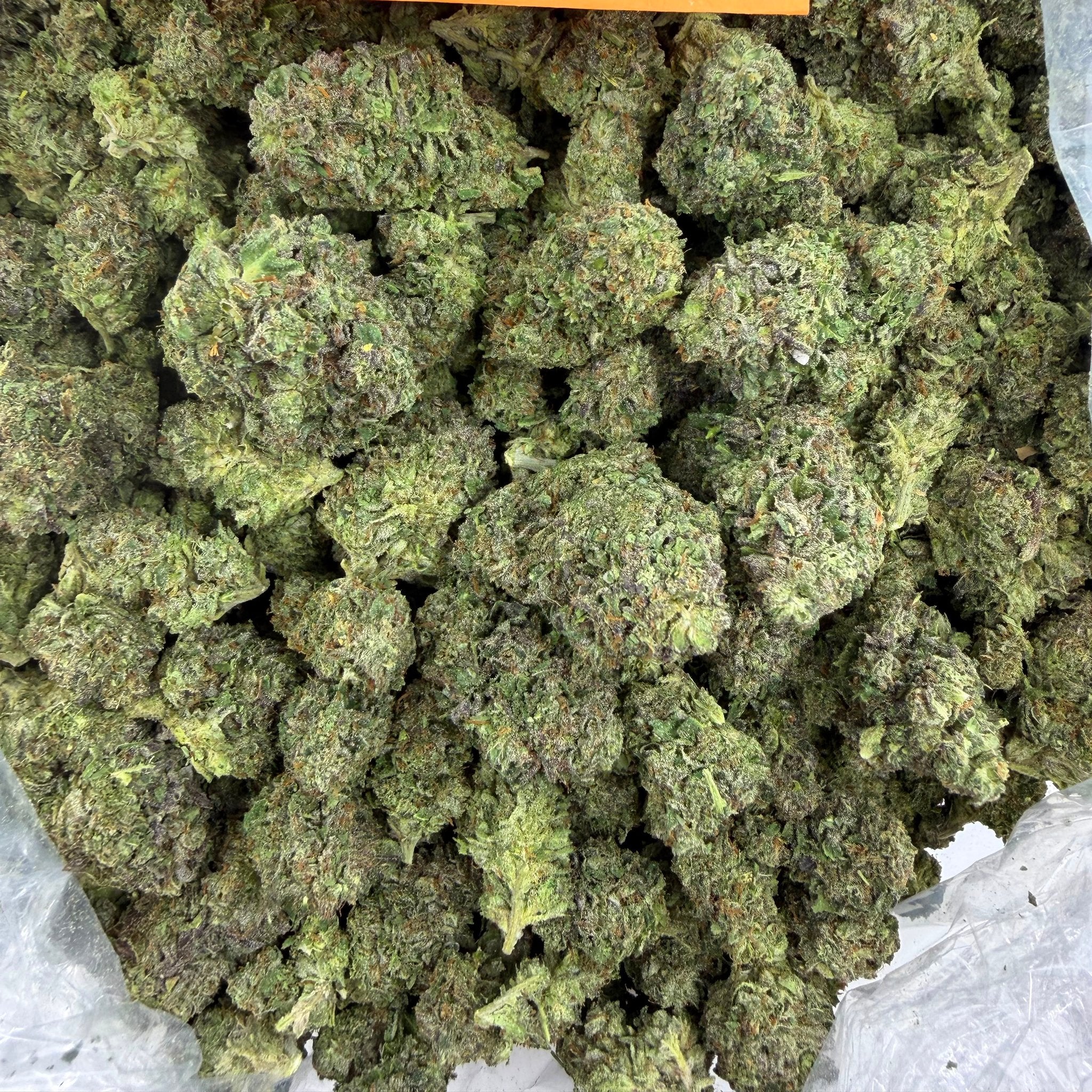 Purple Nebula bulk THCA flower — Plain Jane 1 lb