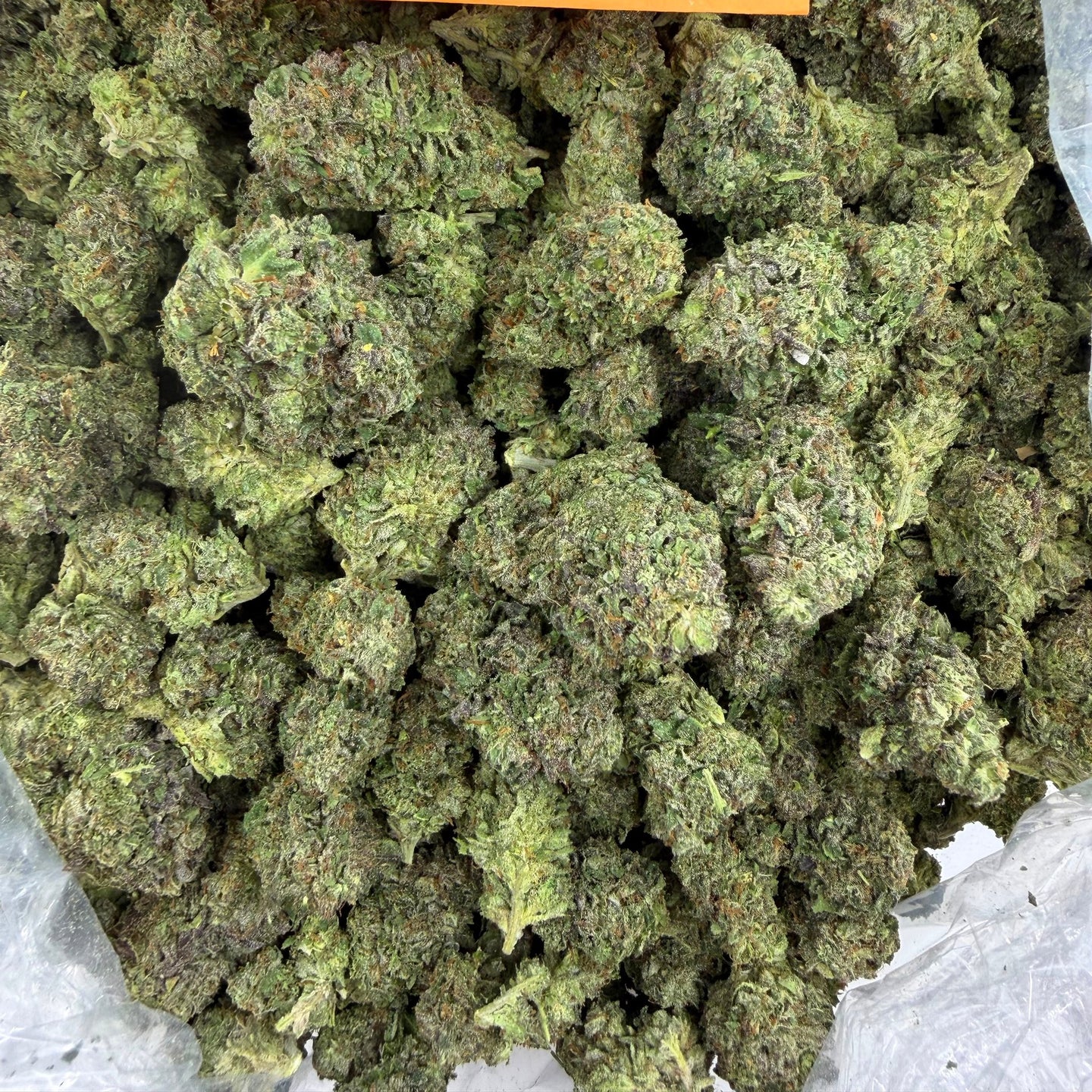 Purple Nebula bulk THCA flower — Plain Jane 1 lb