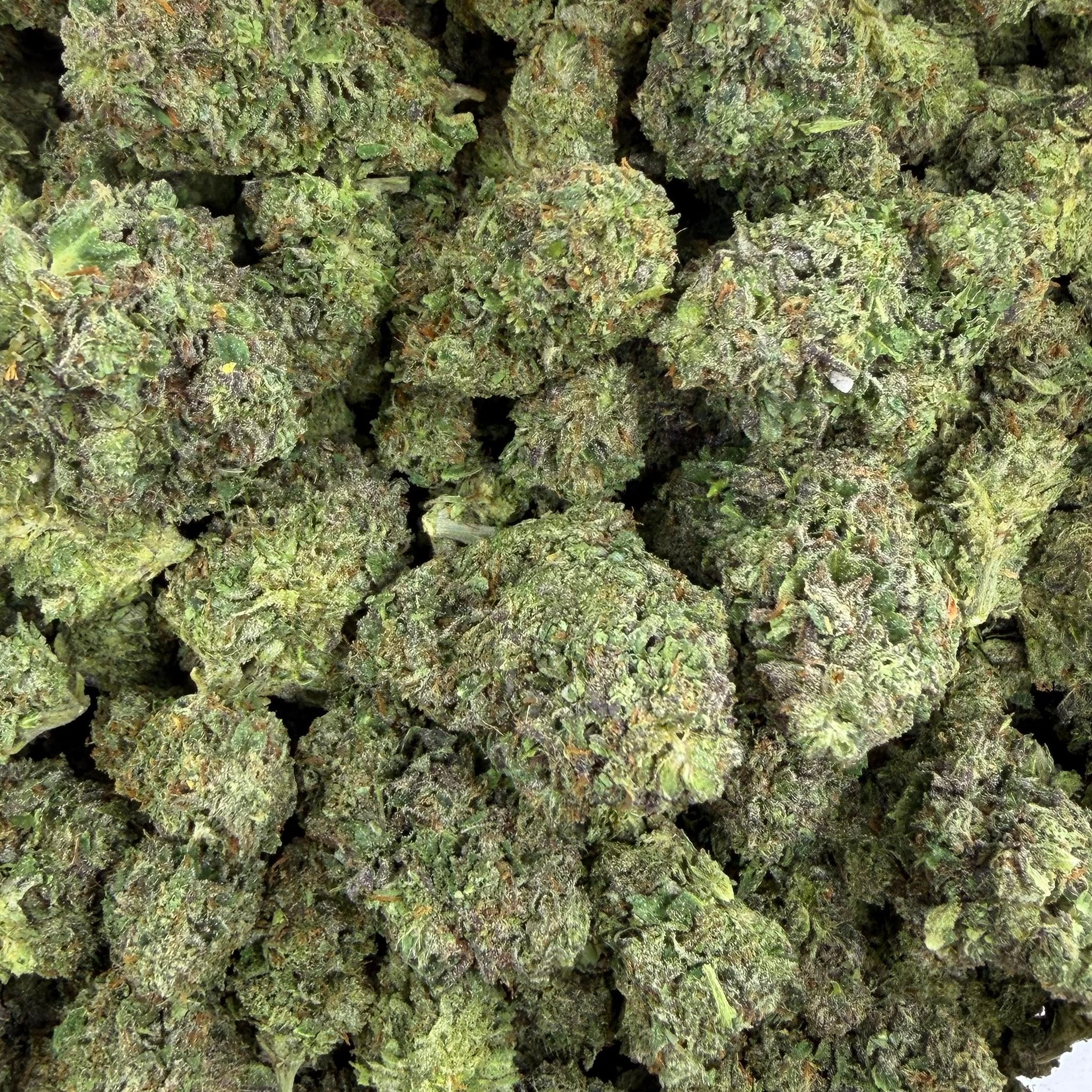 Purple Nebula bulk THCA flower — Plain Jane 1 lb