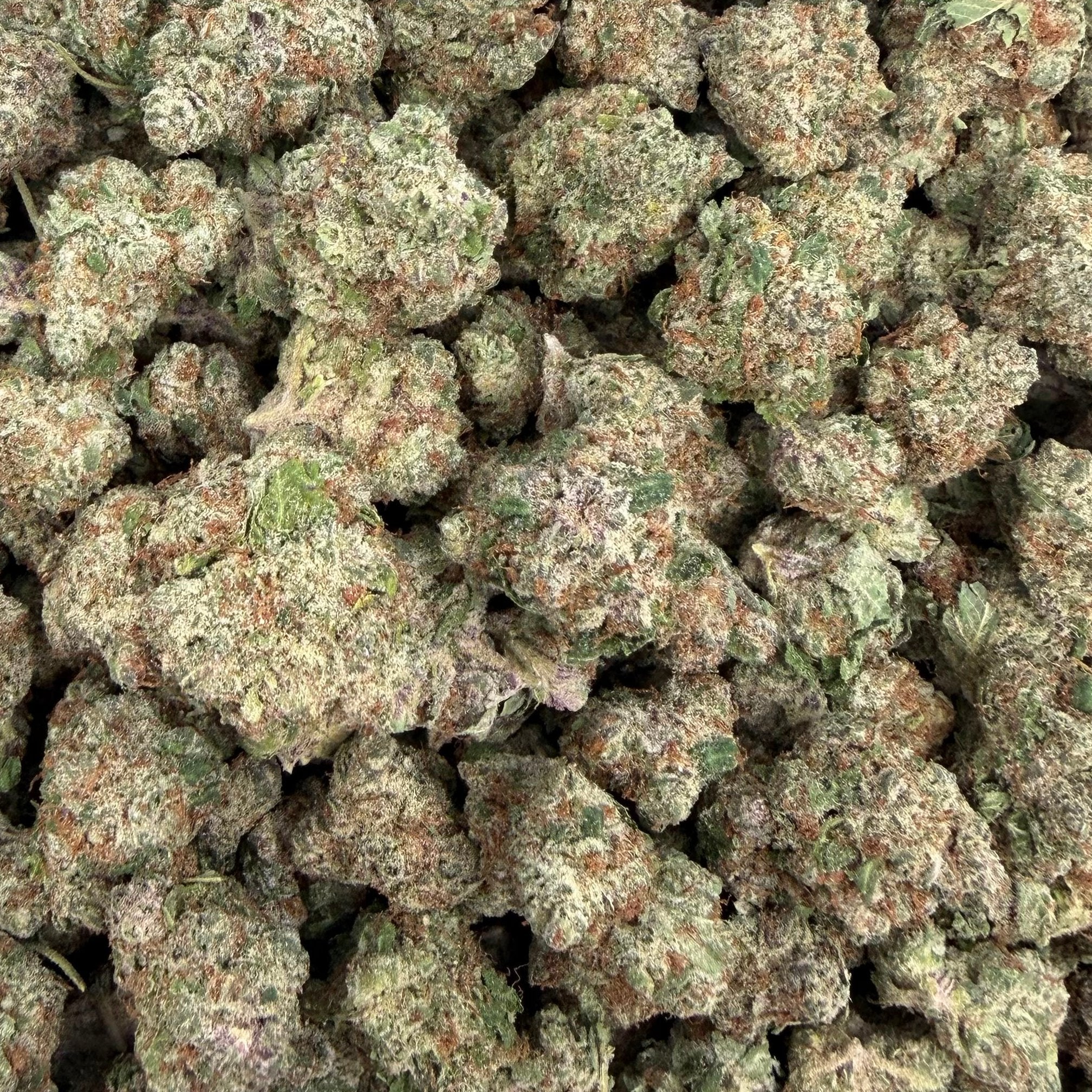Purple Nebula bulk THCA flower — Plain Jane 1 lb